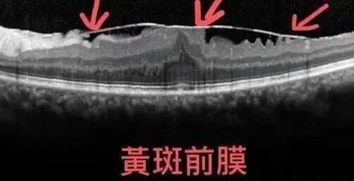 微信图片_20260114102333.jpg