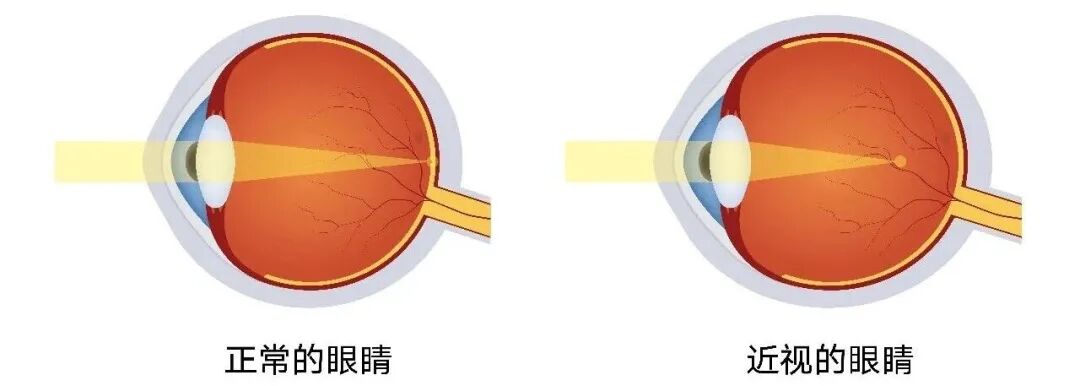 微信图片_20260114104621.jpg
