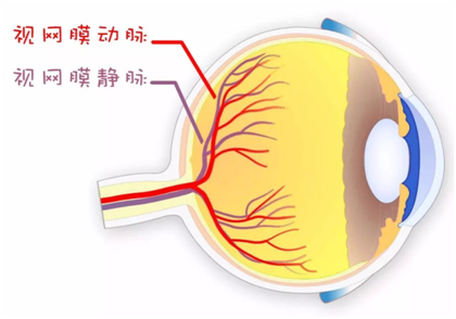 微信图片_20260115093217.png