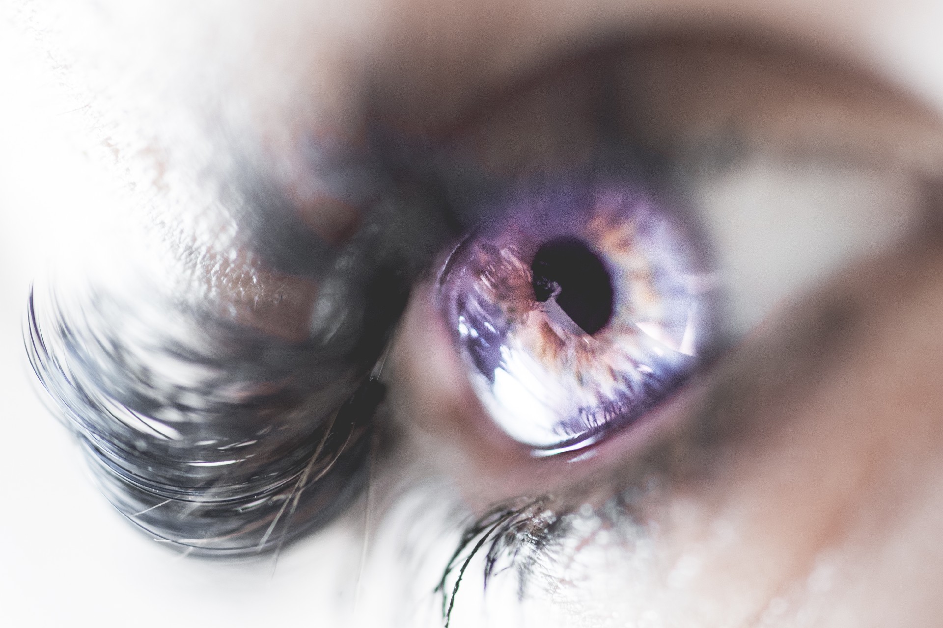 colorful-macro-image-of-human-eye-picjumbo-com.jpg
