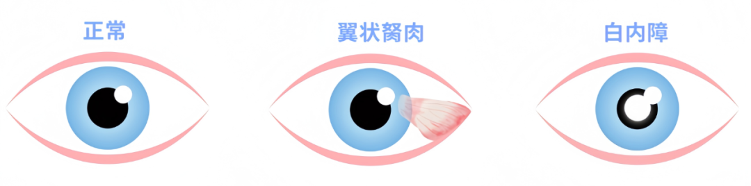 微信图片_20260131101033.png