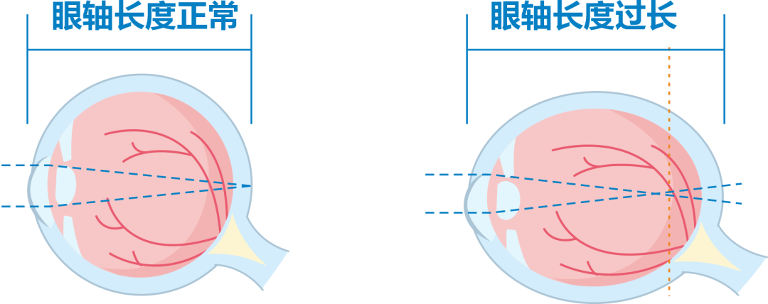 640 (1).png