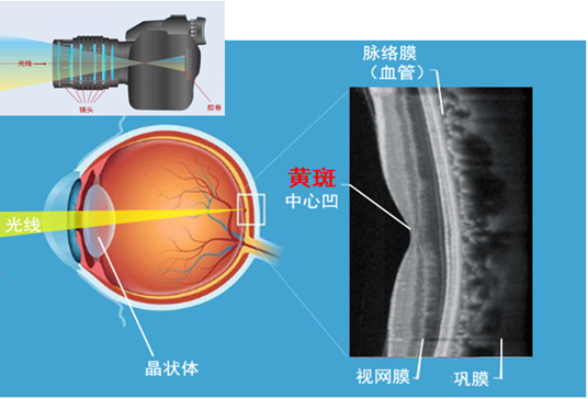 微信图片_20260210090742.png