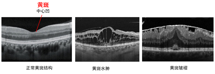 微信图片_20260210090747.png