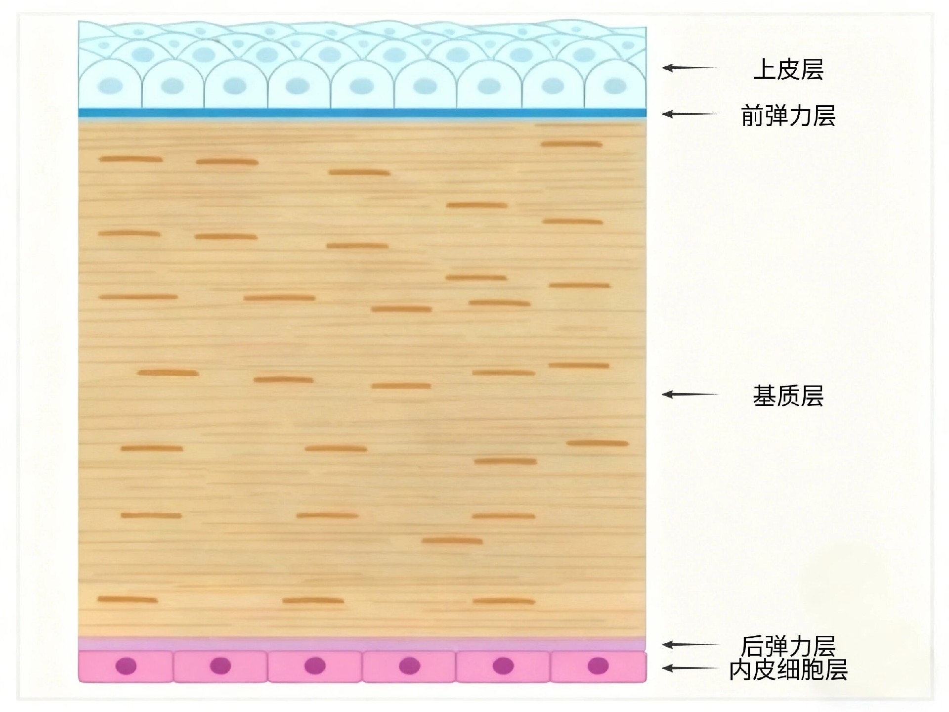 微信图片_20260211093346.jpg