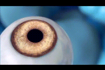微信图片_20260213093152.gif