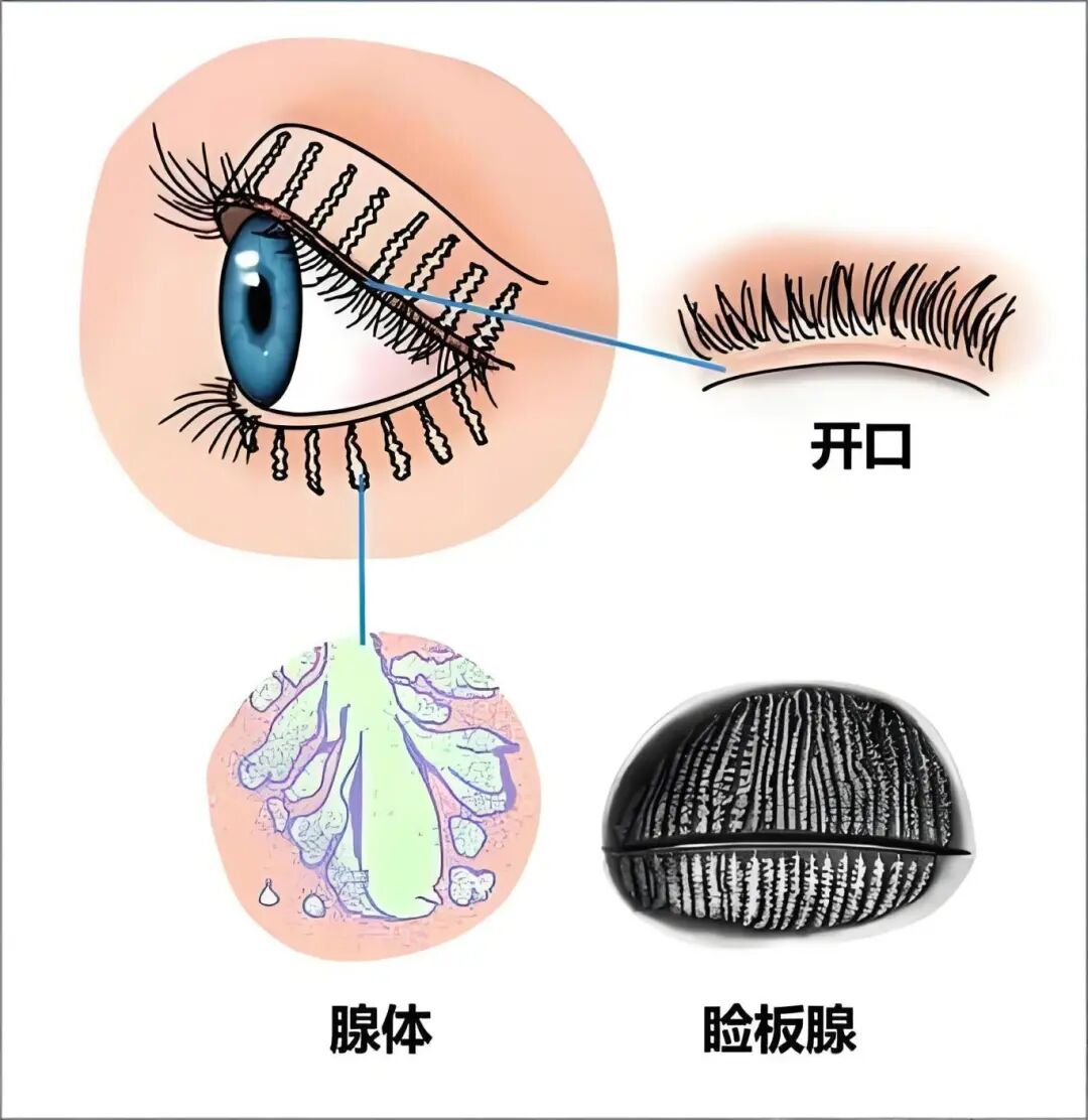 微信图片_20260214094147.jpg