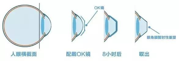 640 (4).png