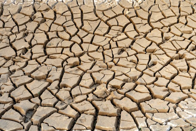 pexels-quang-nguyen-vinh-222549-30174277.jpg