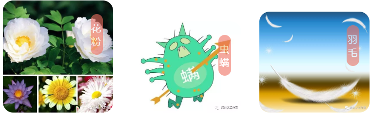 640 (6).png