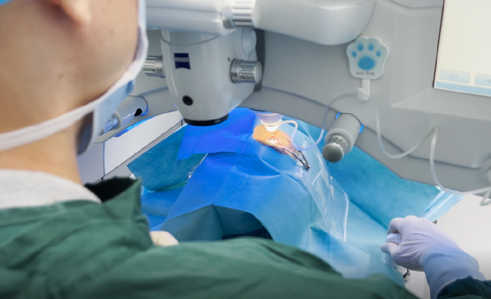 一文解惑！ICL 晶体植入手术热门问题全解析