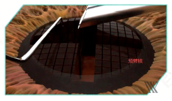 640 (12).png